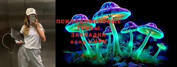 гашиш Богородицк