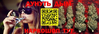 СК Донской