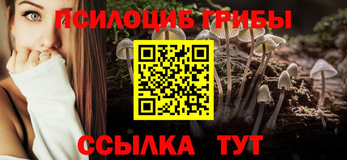Псилоцибиновые грибы мицелий Северск