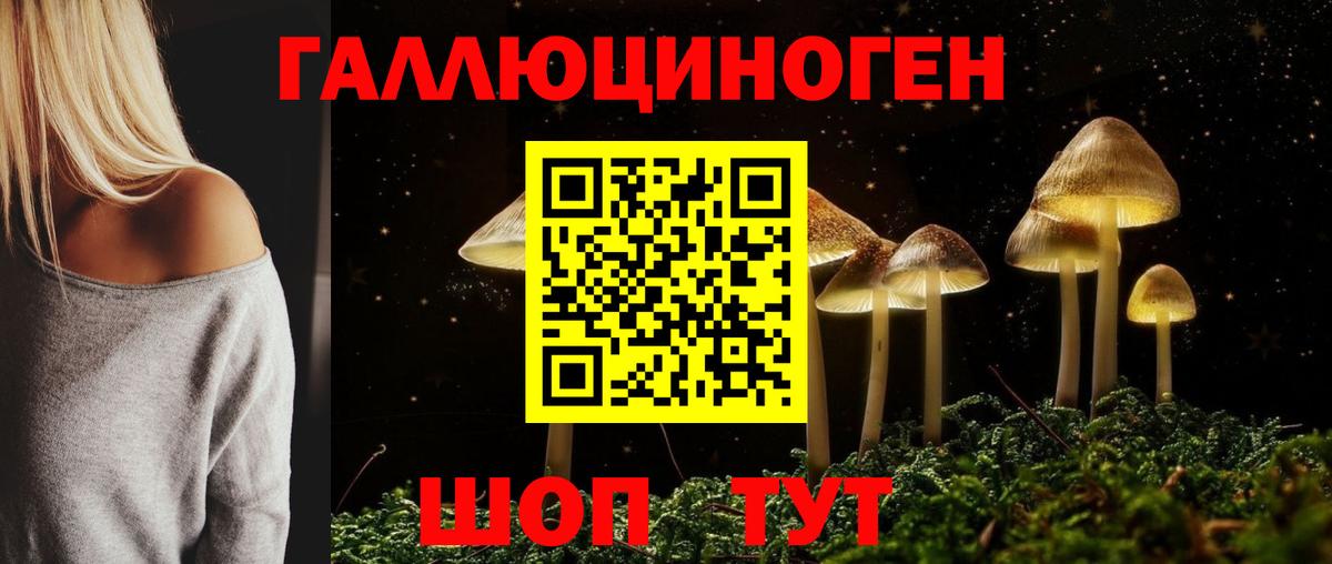 Псилоцибиновые грибы прущие грибы  как найти закладки  Северск  Псилоцибиновые грибы мухоморы  Вход с VPN 